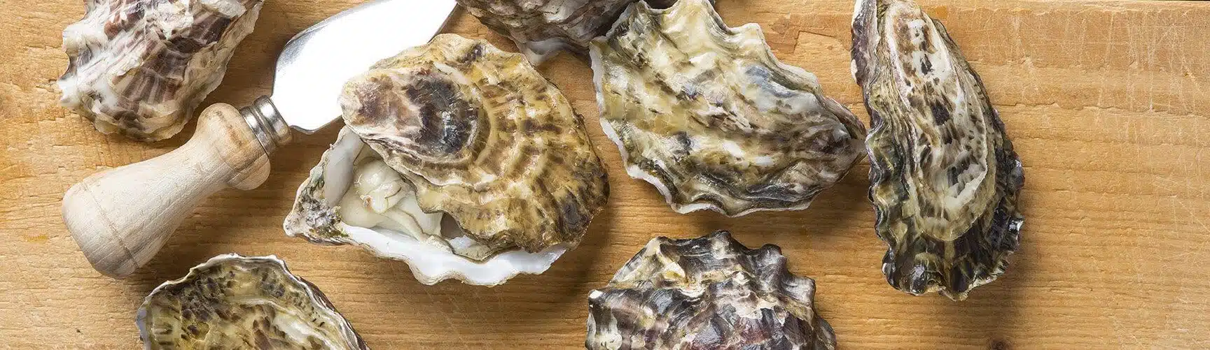 Oesters met een oestermes